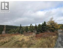 0 Forest Road, carbonear, Newfoundland & Labrador
